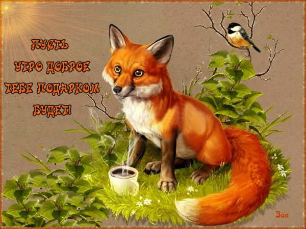 С добрым утром лиса