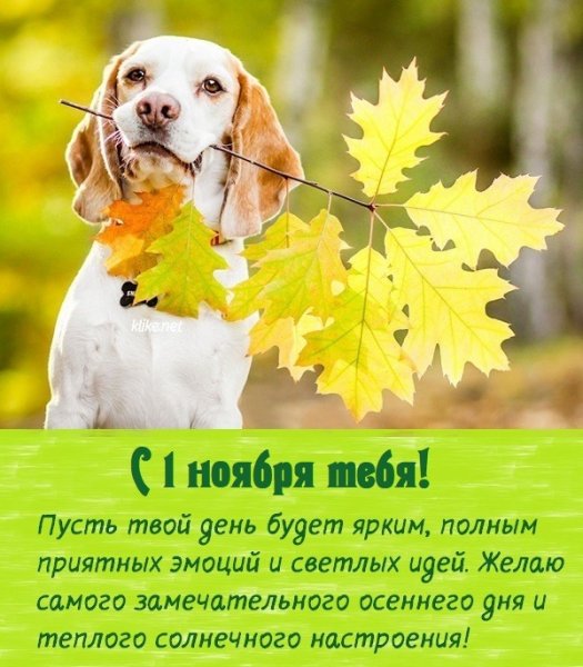 Хорошего осеннего денечка