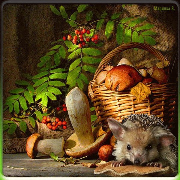 Ежик с грибами и ягодами