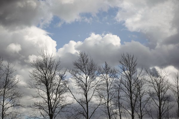 Облачность с прояснениями