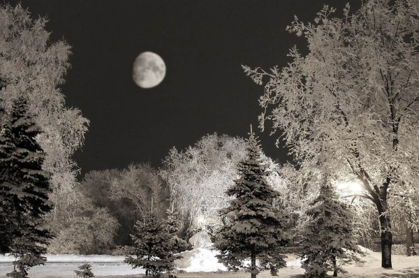 Лунная зимняя ночь