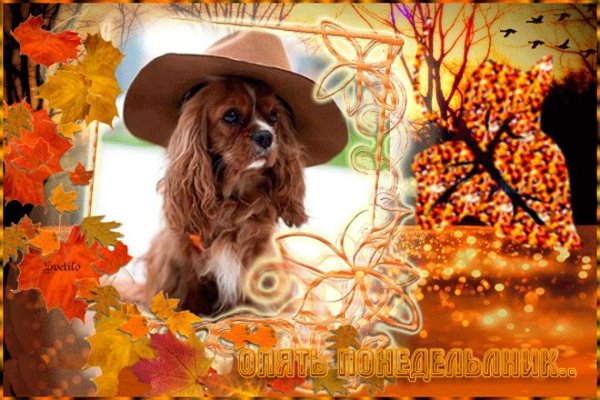 С последним понедельником осени