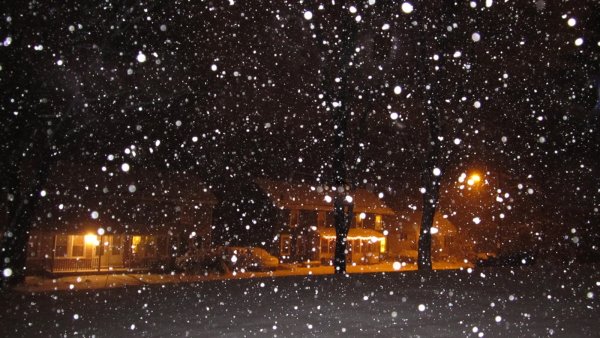 Падающий снег ночью