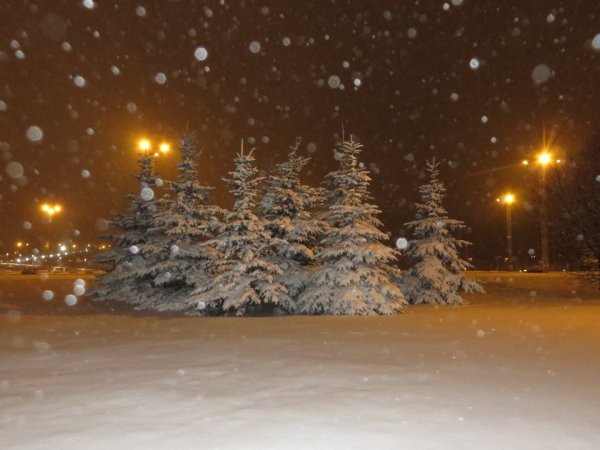 Снегопад в новогоднюю ночь