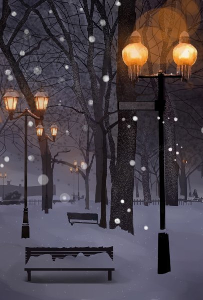 Зимний парк ночью