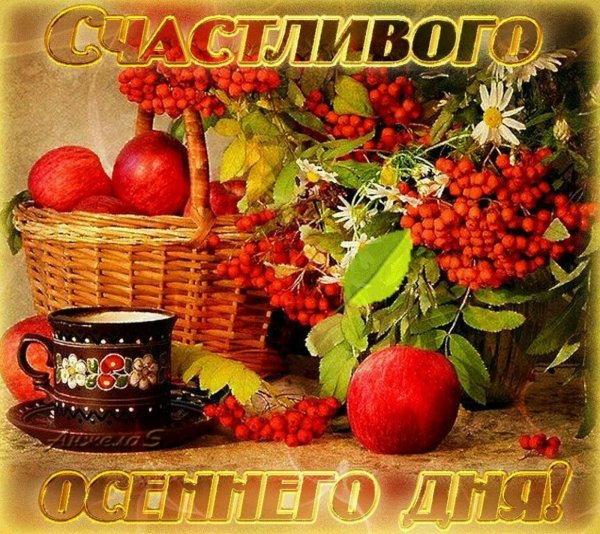 Отливноно осеннего дня