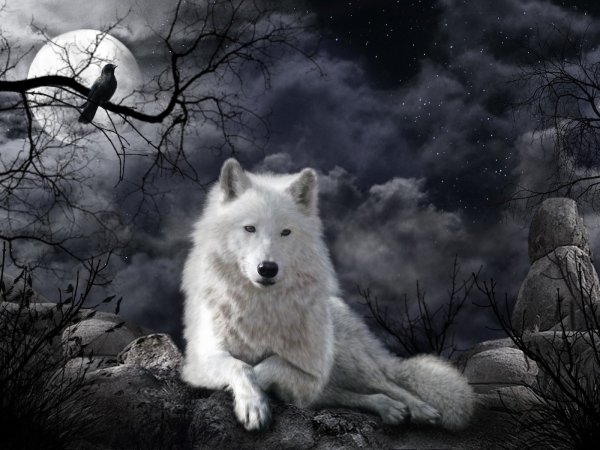 Открытка Бродил по лесу одинокий волк | Настроение в картинках