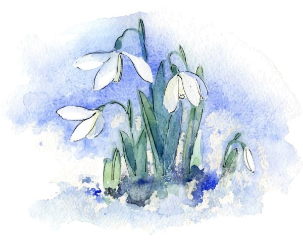 Фон с подснежниками акварельный