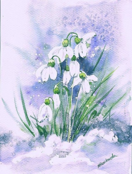 Подснежники акварель