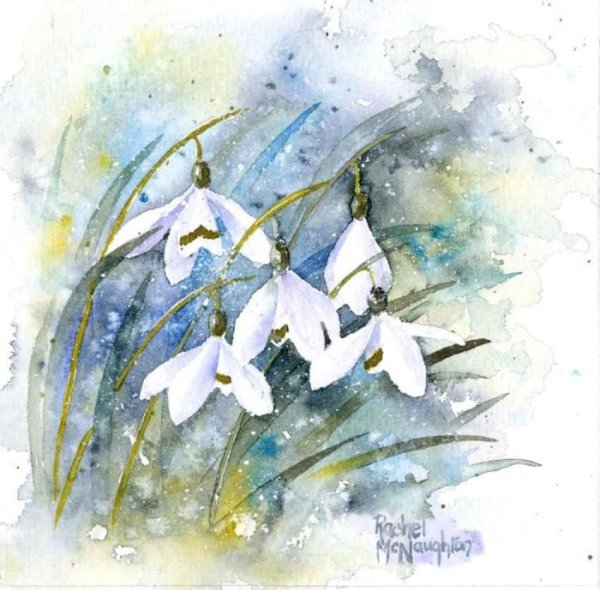 Рэйчел МАКНОТОН картины