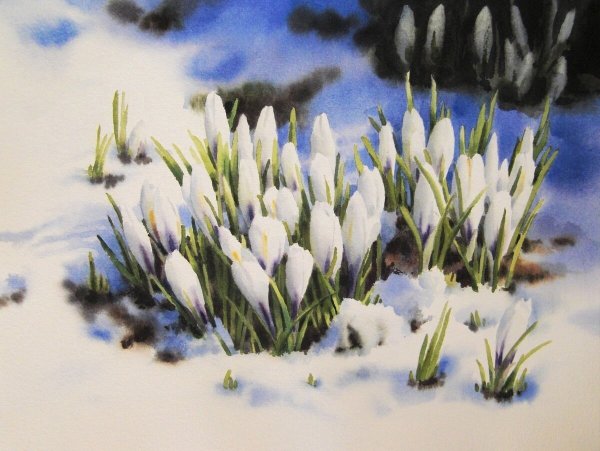 Акварели Татьяны Бехтгольд Германия