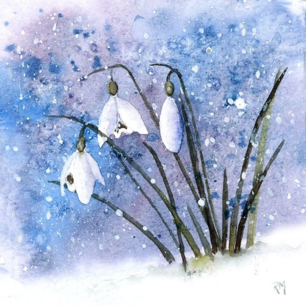 Снежные цветы акварель