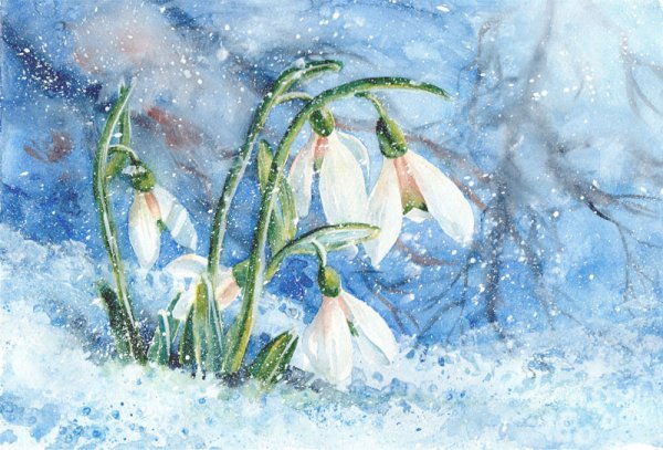 Вышивка подснежники