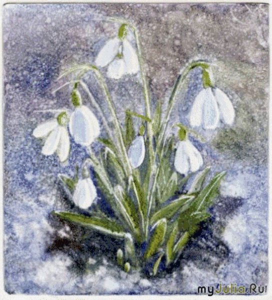 Подснежники рисунок