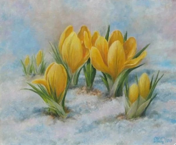 Желтый Крокус акварель