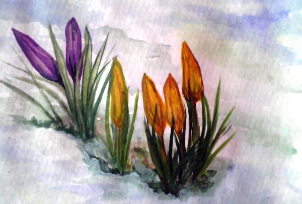 Первые цветы весны акварелью