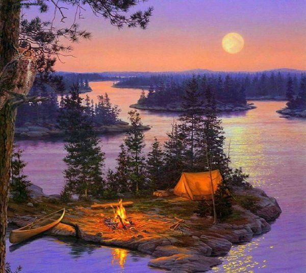 Художник Даррел Буш (Darrell Bush)