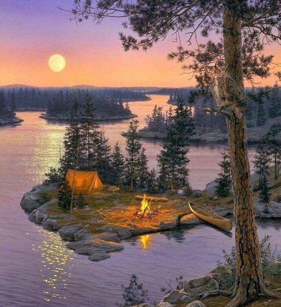 Даррелл Буш закат