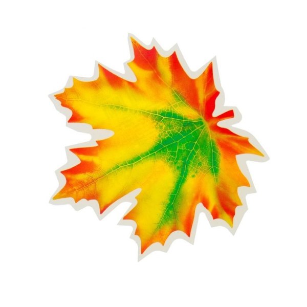 Кленовый лист цветной