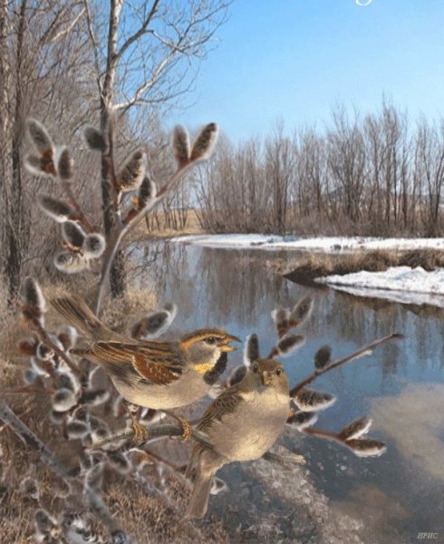 Доброе утро ранняя Весна