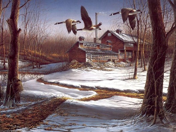 Терри Редлин картины природа