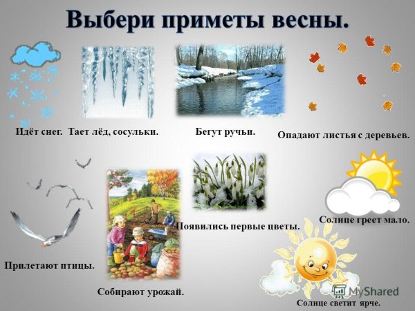 Приметы весны