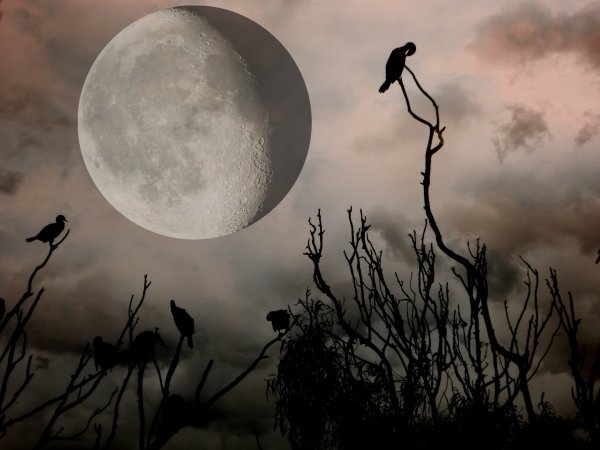 Пугающая Луна