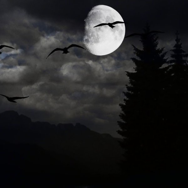 Ужасная Луна