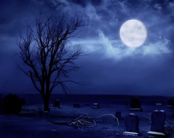 Лунная ночь на кладбище