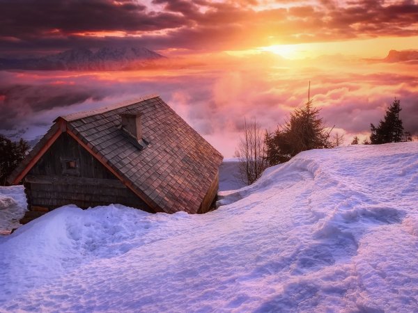 Зимний дом