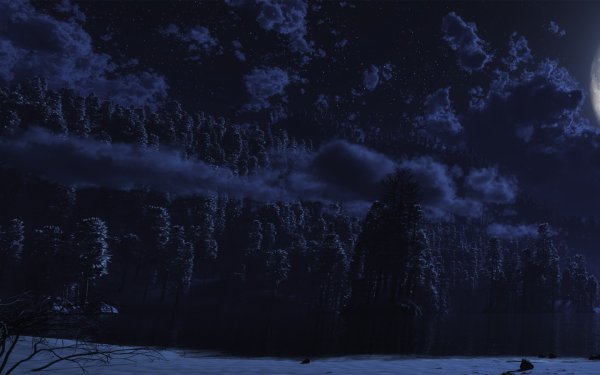 Зимнее ночное небо