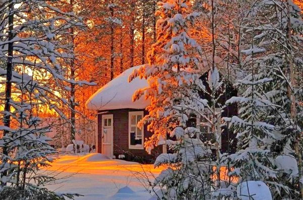 Заснеженный домик в лесу