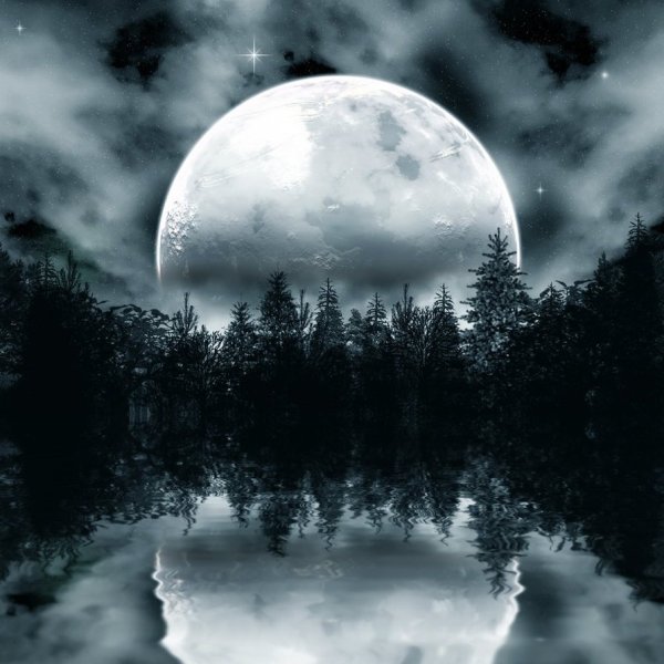 Луна в лесу