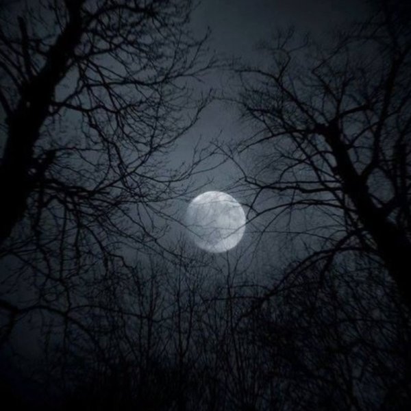 Полнолуние Эстетика