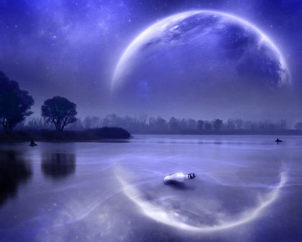 Фантастически красивая ночь