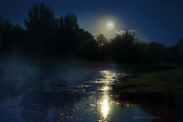 Ночь над прудом