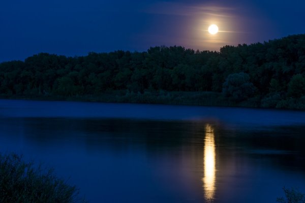 Ночь над прудом