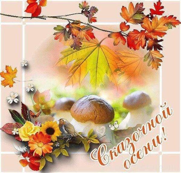 Осенние пожелания