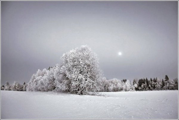 Снежная равнина Есенин