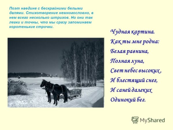 Фет белая равнина