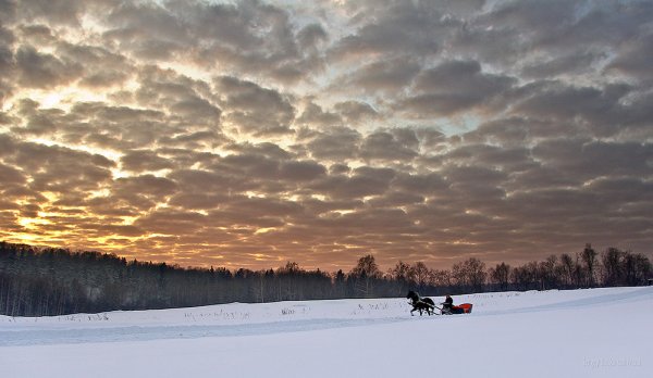 Зимняя ночная равнина