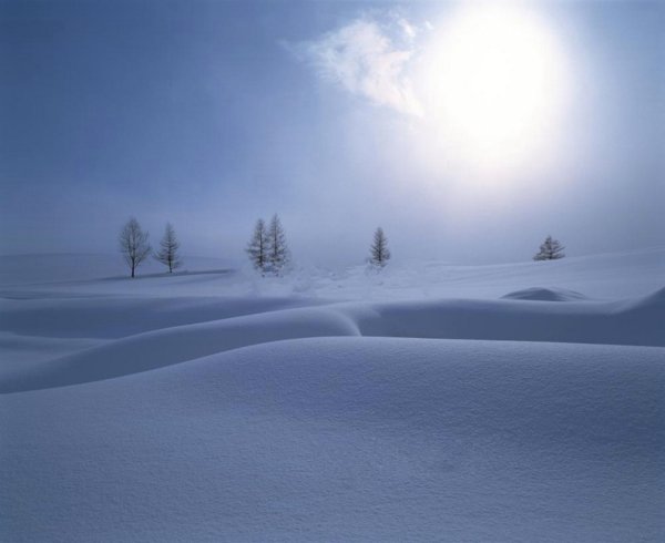 Снежное поле