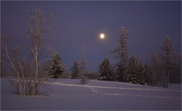 Красивая Луна зимой в деревне