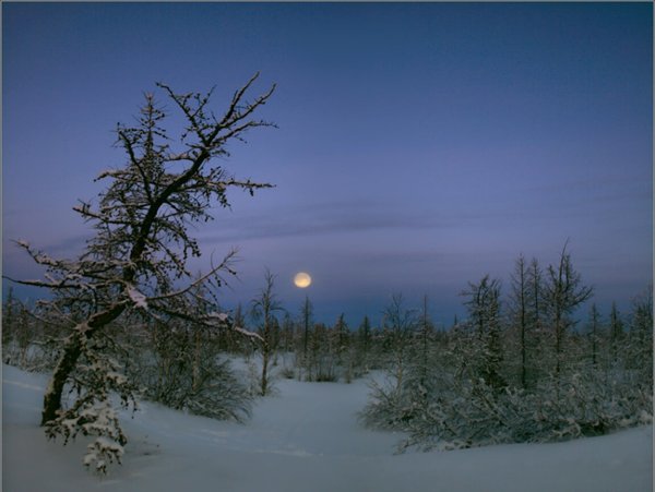 Снежная равнина белая Луна