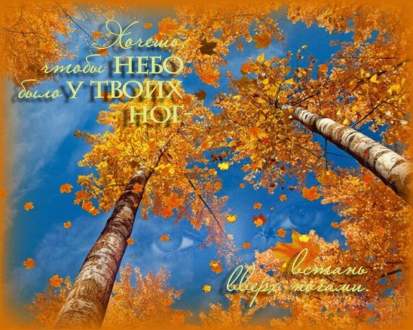 Отличного воскресенья осень