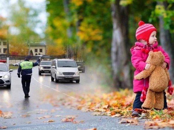 Осенние опасности на дороге