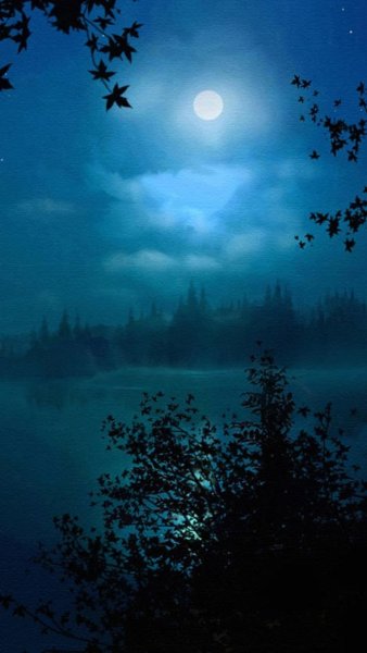 Природа ночью