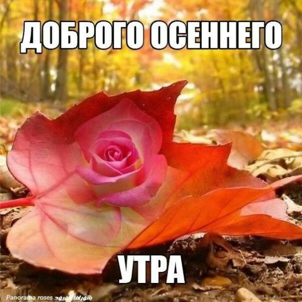 Благословенного осеннего дня