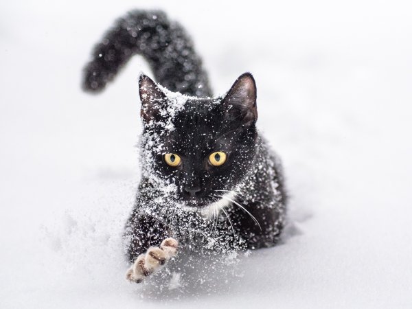 Снег мне в уши снег мне в глаз хороша Весна у нас