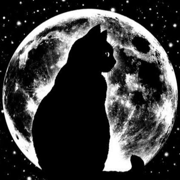 Силуэт кошки на Луне